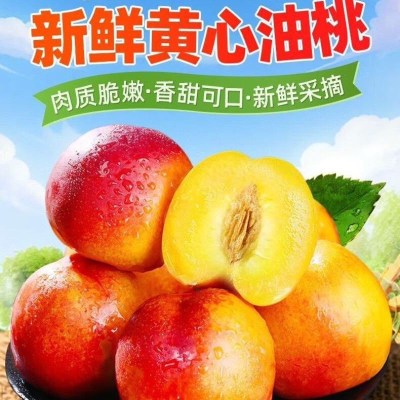 砀山【现摘】-黄心大油桃孕妇水果当季黄肉油桃子整箱毛桃批