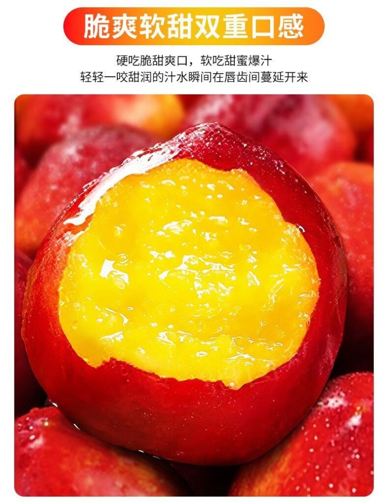 砀山【现摘】-黄心大油桃孕妇水果当季黄肉油桃子整箱毛桃批
