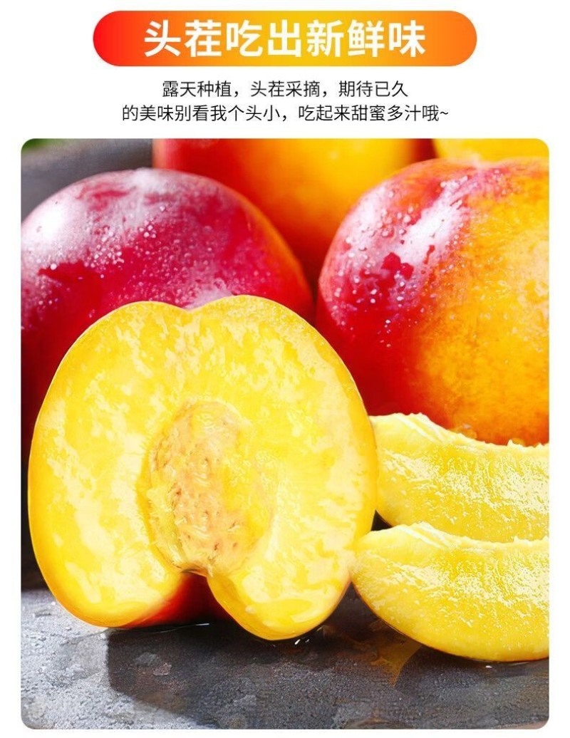 砀山【现摘】-黄心大油桃孕妇水果当季黄肉油桃子整箱毛桃批