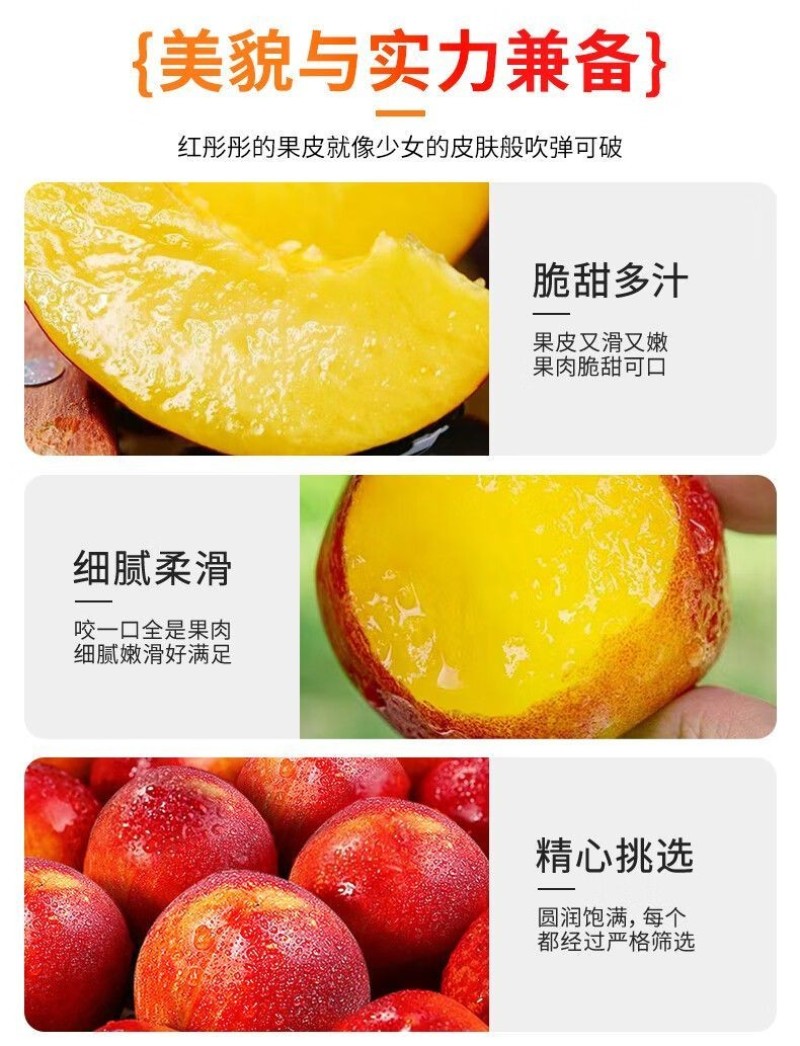 砀山【现摘】-黄心大油桃孕妇水果当季黄肉油桃子整箱毛桃批