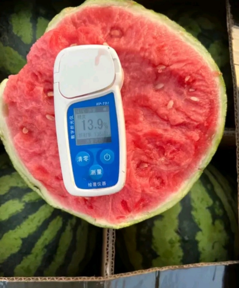 精品甜王麒麟美都8424一手货源包熟包甜生瓜包赔全国代发