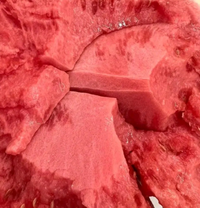 精品甜王麒麟美都8424一手货源包熟包甜生瓜包赔全国代发