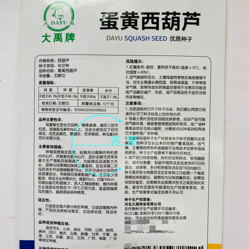 蛋黄西葫芦种子农田菜园蔬菜易种植短蔓杂交春秋播西葫芦籽