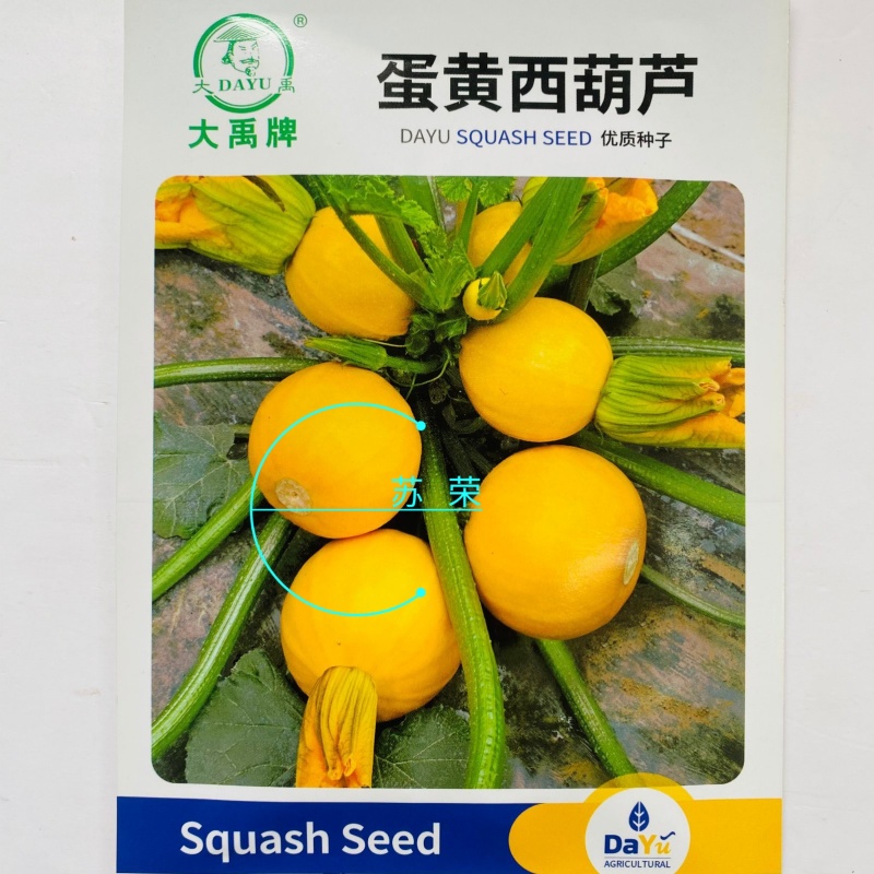 蛋黄西葫芦种子农田菜园蔬菜易种植短蔓杂交春秋播西葫芦籽