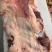 【羊腿肉】鲜杀羔羊后腿品质保证规格齐全，欢迎欢迎洽谈合作