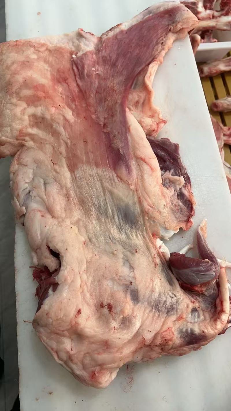 【羊腿肉】鲜杀羔羊后腿品质保证规格齐全，欢迎欢迎洽谈合作
