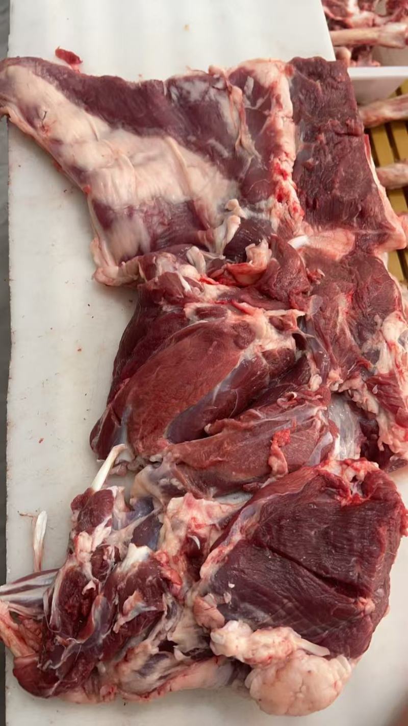 【羊腿肉】鲜杀羔羊后腿品质保证规格齐全，欢迎欢迎洽谈合作