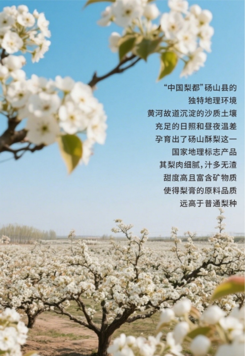 安徽砀山非遗物质文化遗产百年传承古法熬制酥梨膏。