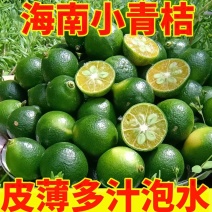 海南金桔全国批发！