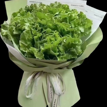 【今日推荐】意大利生菜可视频看货对接全国品质保证