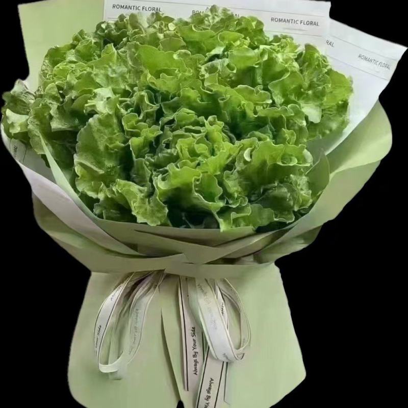 【今日推荐】意大利生菜可视频看货对接全国品质保证