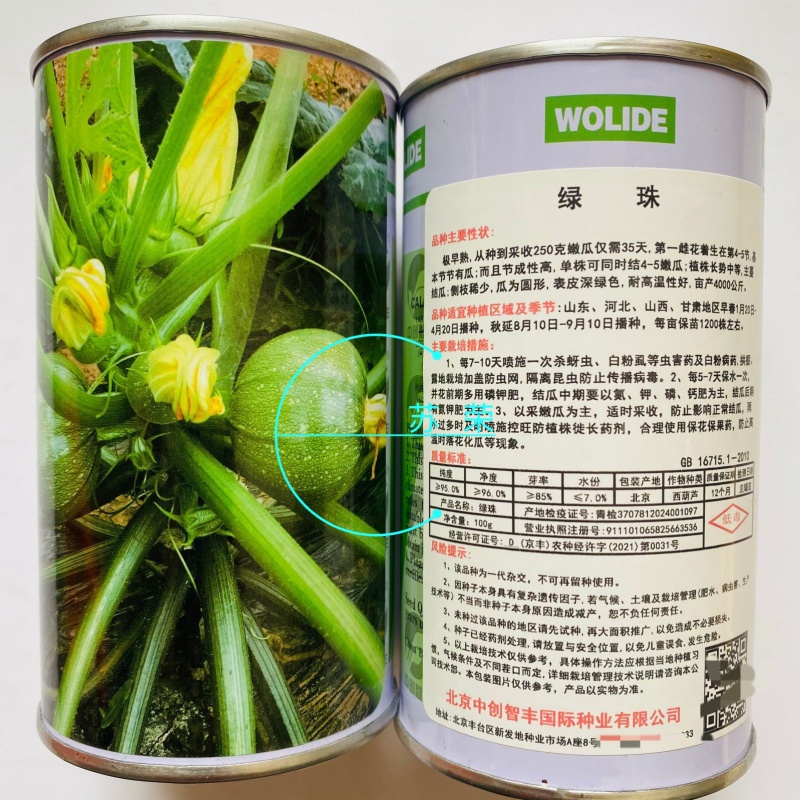 绿珠圆形西葫芦种子矮生无蔓嫩青瓜种子极早熟深绿皮嫩南瓜种