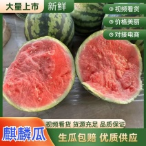 甘肃无籽麒麟西瓜美都西瓜糖度13+对接全国市场，