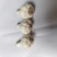 白皮蒜精品大蒜新蒜上市大量供应一手货源产地直发欢迎选购