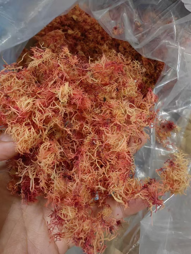 精品赤菜海燕窝，量大价优，