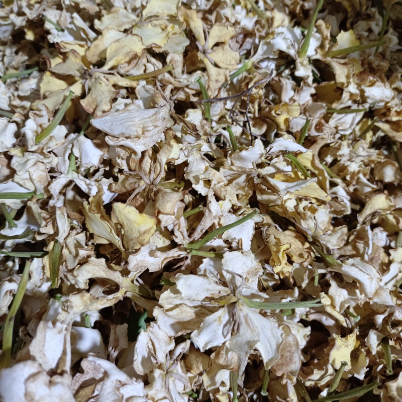 栀子干花