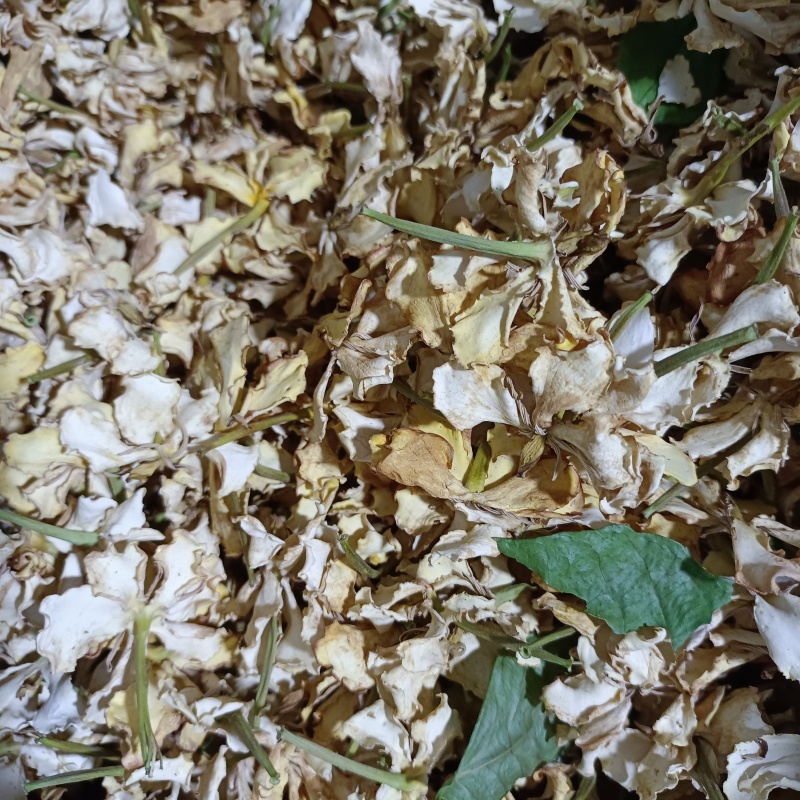 栀子干花