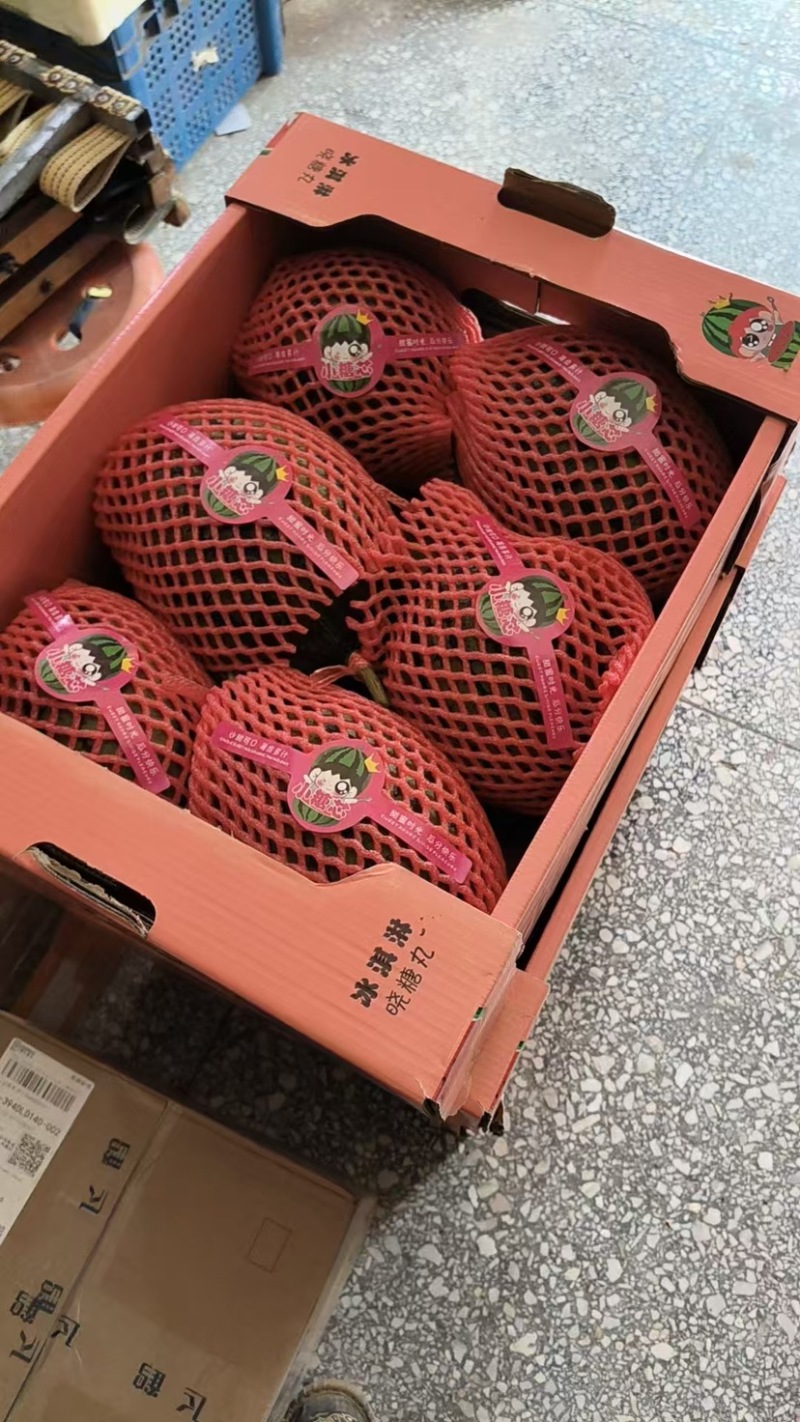 河南西华L600西瓜欢迎来电洽谈