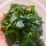 裙带菜！干裙带菜，无黄叶无沙泡发率高！电商实体首选