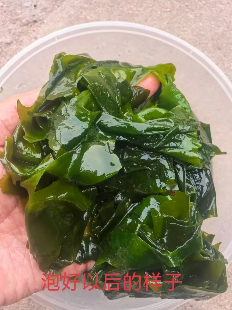 裙带菜！干裙带菜，无黄叶无沙泡发率高！电商实体首选