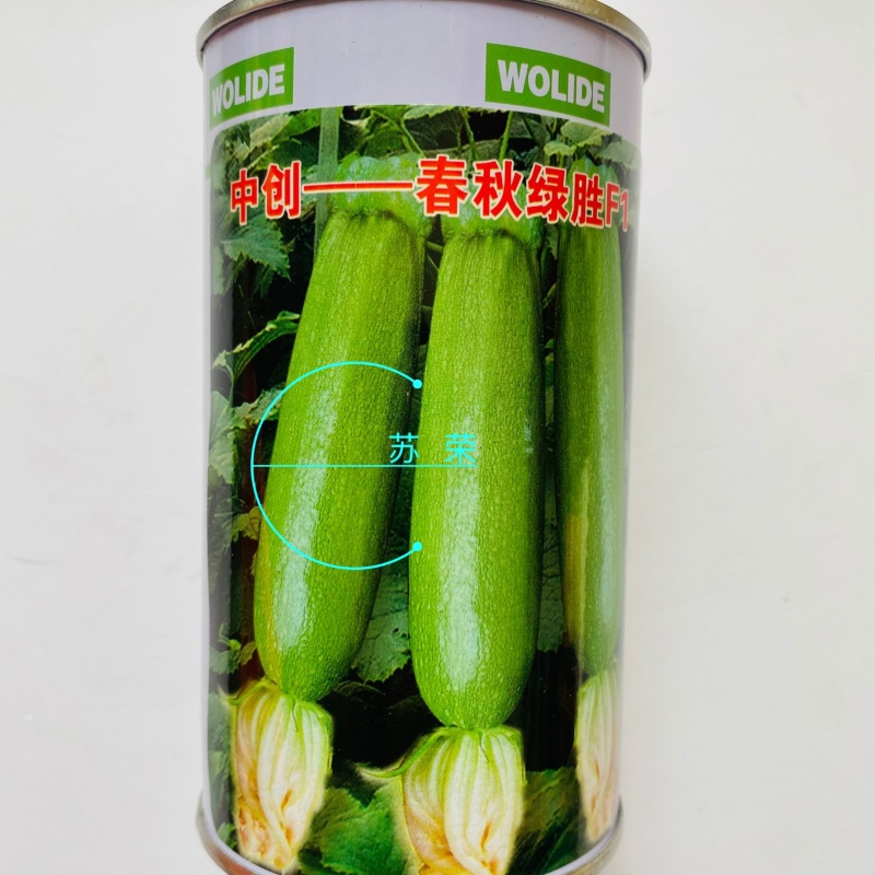 中创春秋绿胜翠绿西葫芦种籽抗病耐寒大棚露地春秋季播种