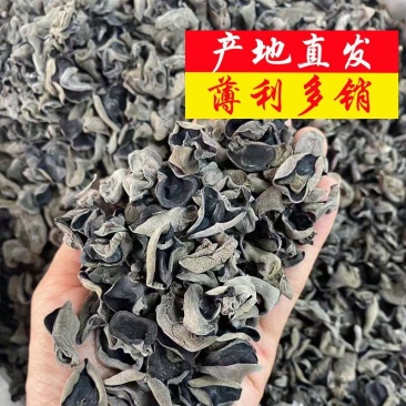 产地直销东北特产黑木耳厚肉诚信合作量大从优
