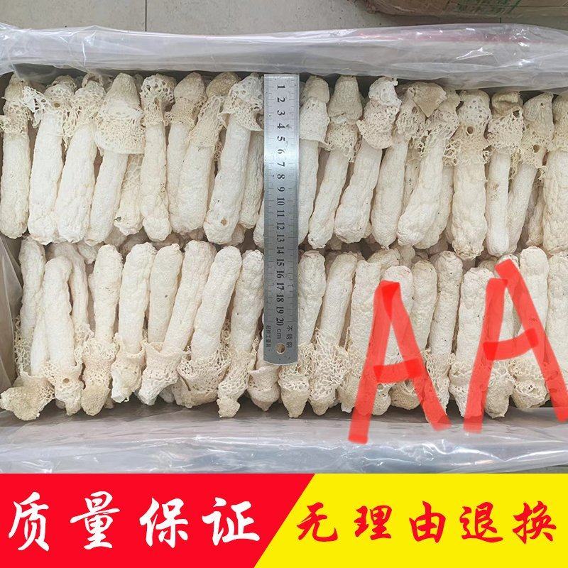 贵州竹荪产地直销批发红托竹荪织金菌菇干货蘑菇土特产竹笙
