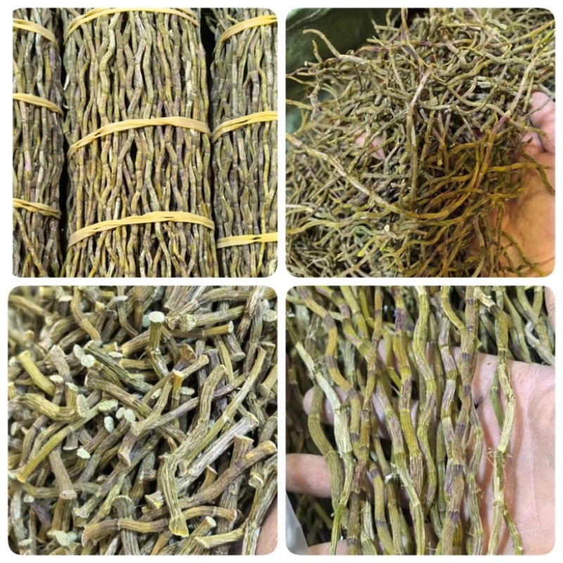 云南铁皮石斛干条石斛枫斗地摊电商批发铁皮石斛粉干石斛