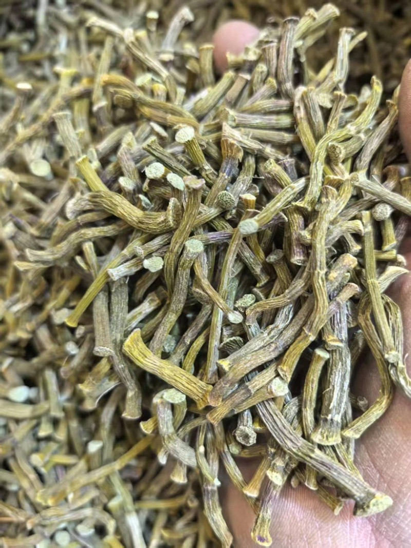 云南铁皮石斛干条石斛枫斗地摊电商批发铁皮石斛粉干石斛