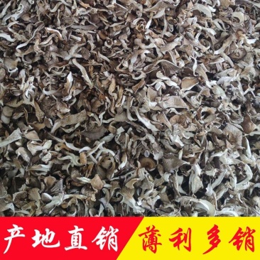 平菇干货产地直销批发牡丹条鲍鱼菇古田食用菌凤尾菇灰平菇