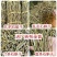 云南铁皮石斛干条石斛枫斗地摊电商批发铁皮石斛粉干石斛