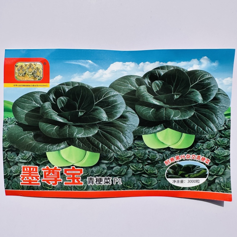 新一代耐热黑叶杂交青梗菜种子叶片肥厚株口感甜糯纤维少夏播