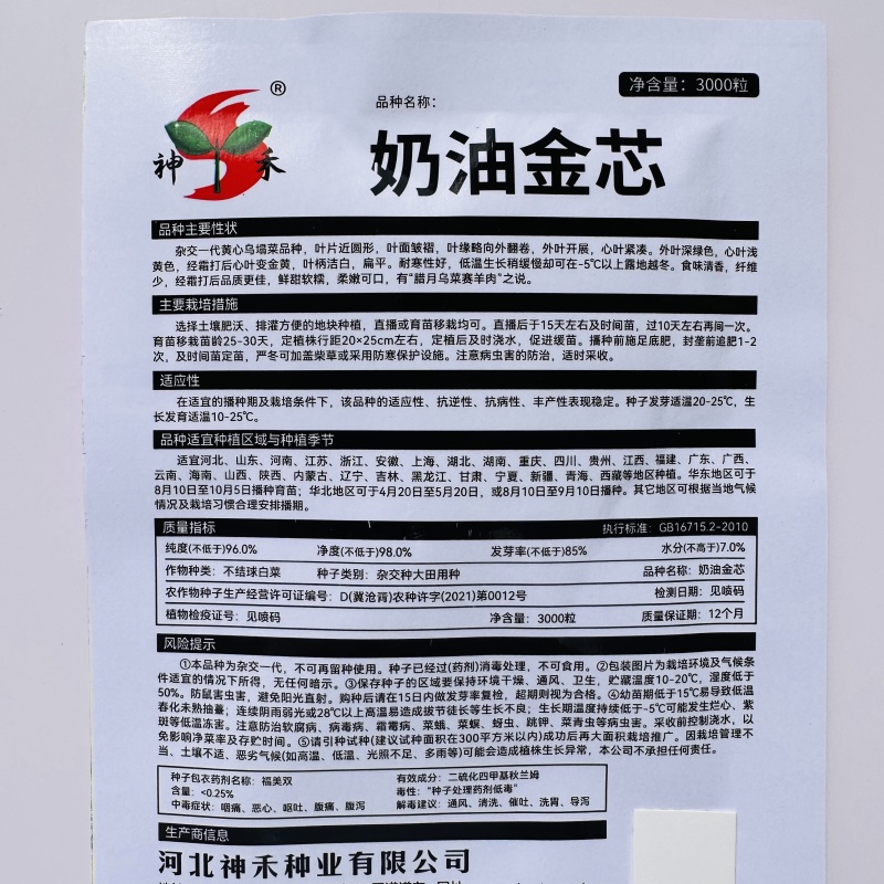 杂交一代黄心乌場菜种子叶片近圆形奶油黄心乌种子