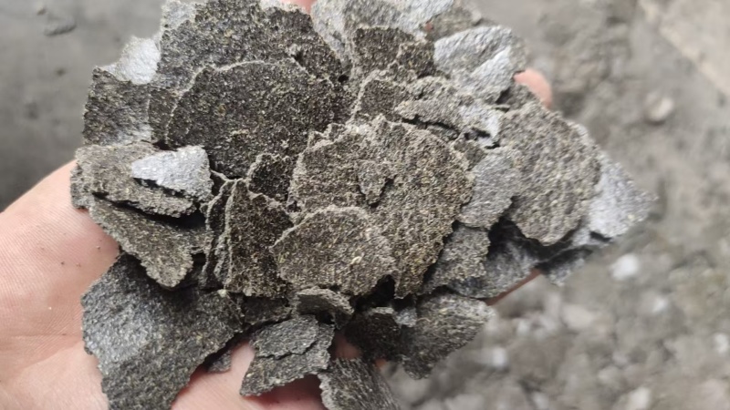油脂公司大量供应葵花籽饼葵粕适用于饲料养殖