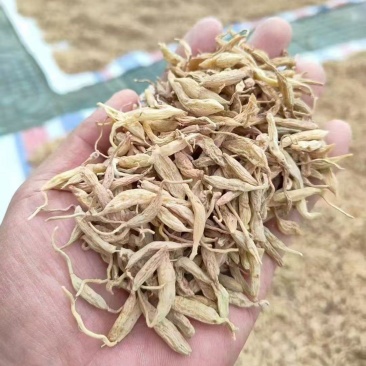 纯野生麦冬，香味浓郁足干无硫，手工挑选黑头杂质，一手货源