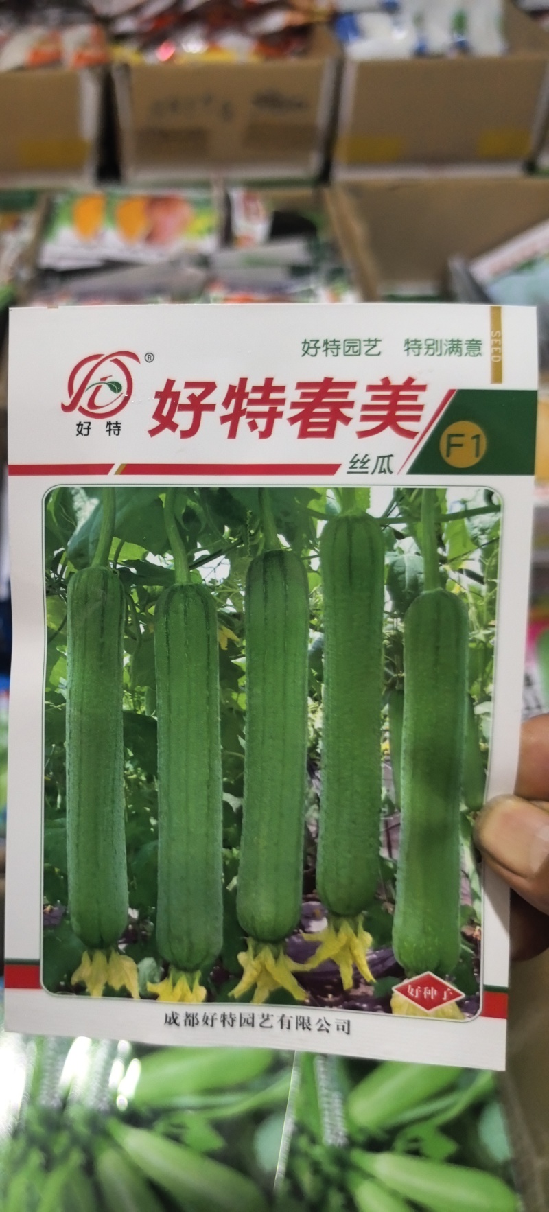 丝瓜种子好特春美早熟结瓜密抗病产量高带鲜花品质好