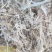 精品玉米秸秆二次柔丝压块牛马羊草料风选无土无膜无霉