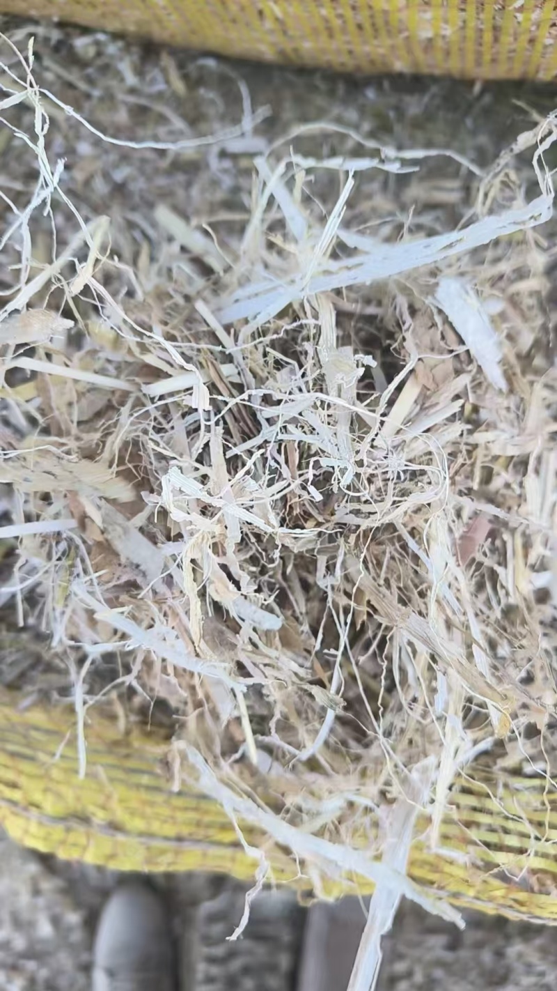 精品玉米秸秆二次柔丝压块牛马羊草料风选无土无膜无霉