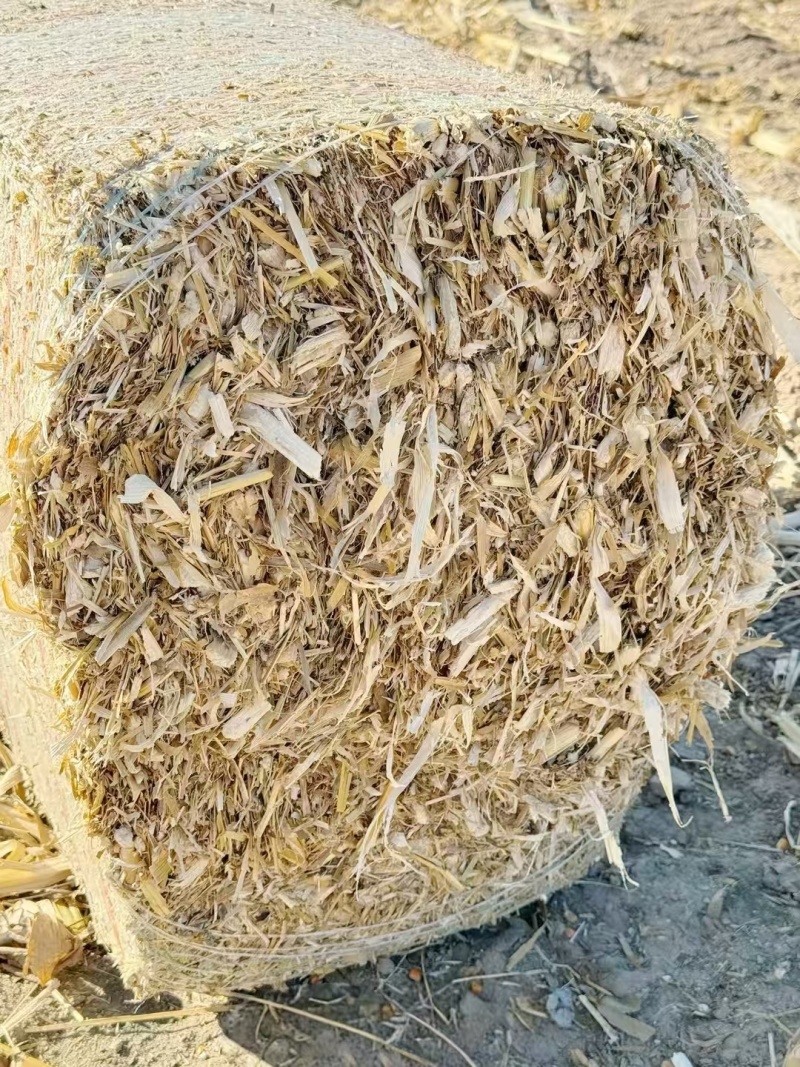精品玉米秸秆二次柔丝压块牛马羊草料风选无土无膜无霉