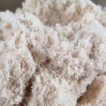 木粉厂家直销规格齐全量大价优目数多样