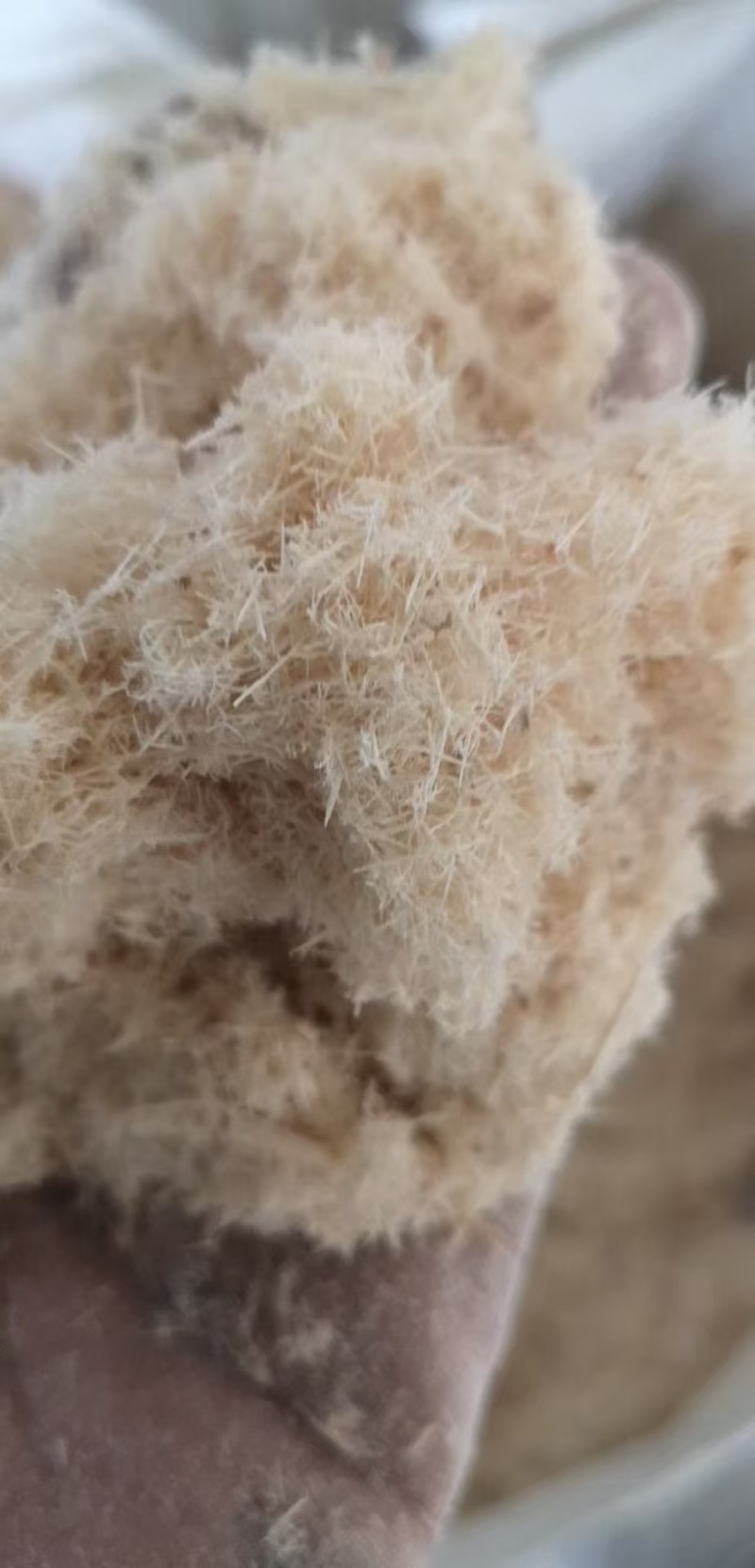 木粉厂家直销规格齐全量大价优目数多样
