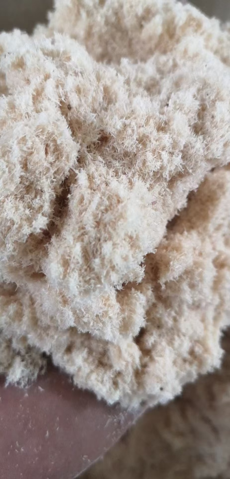 木粉厂家直销规格齐全量大价优目数多样