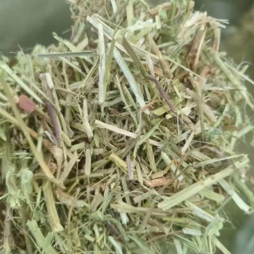 优质花生秧无土无霉产地直发牛羊饲料