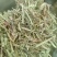 优质花生秧无土无霉产地直发牛羊饲料