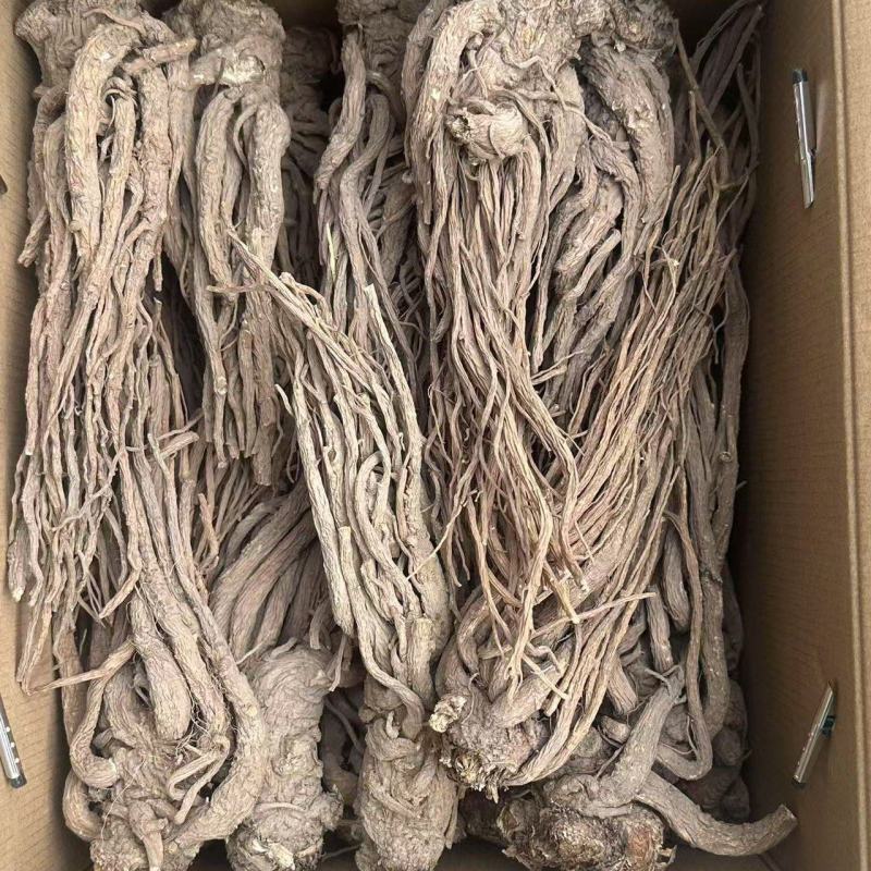 甘肃岷县当归/大货批发/规格齐全现货速发