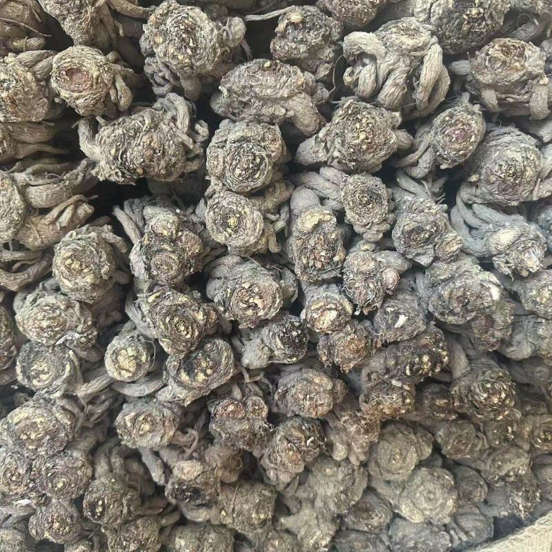 甘肃岷县当归/大货批发/规格齐全现货速发