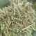 优质花生秧无土无霉产地直发牛羊饲料