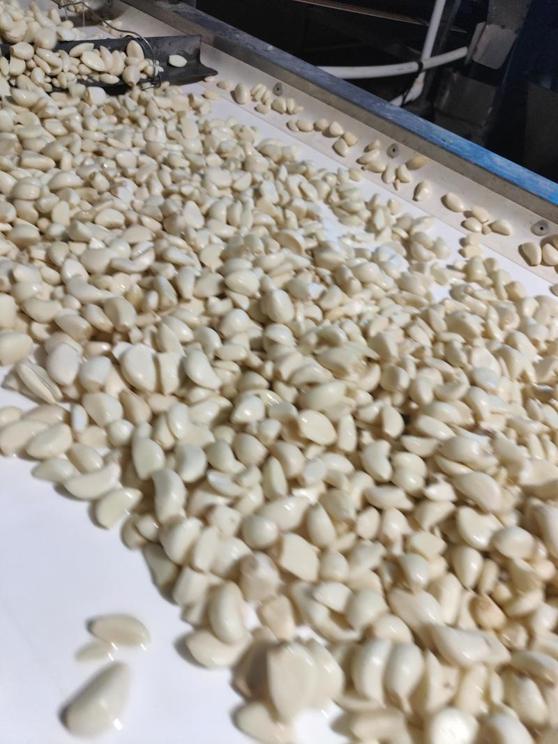 优质蒜米，市场蒜米，工厂蒜米，品种齐全：可定制欢迎来电