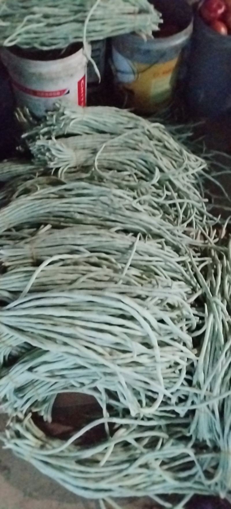武汉市东西湖区辛安渡豆角基地大量上市需要的老板联系