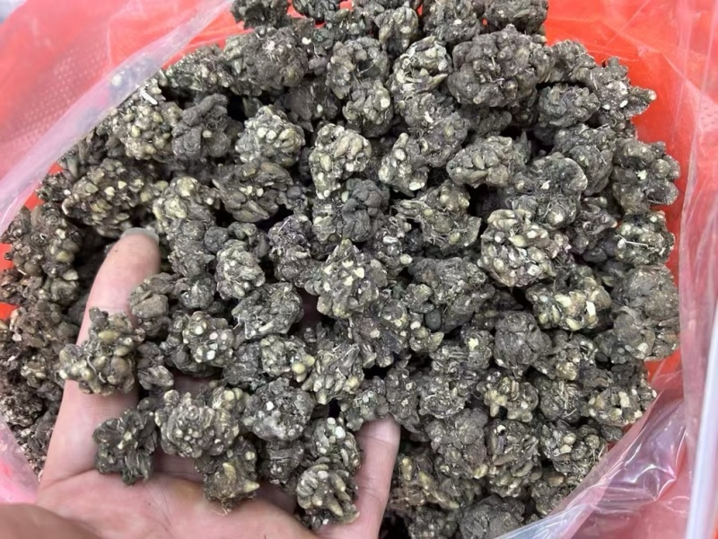 猫爪草水洗无硫正宗云南猫爪腾批发中药猫爪草